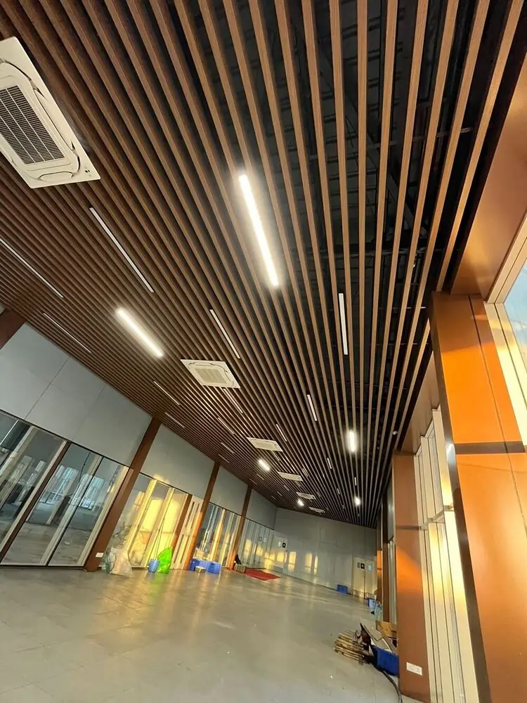 GI Baffle Ceiling